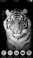 Blanc tigre thème Affiche