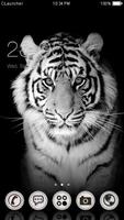 Blanco tigre tema Poster