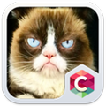 Grumpy Cat Theme C Launcher