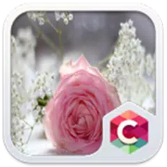 Baixar Pretty Pink Rose Theme APK