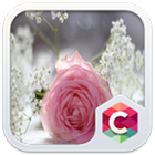 Роза Розовая тема HD Clauncher иконка