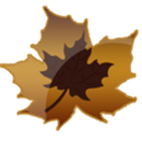 Autumn Leaf Water Drops Theme APK