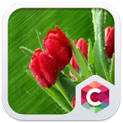 Best Rose Theme HD APK download