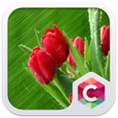 Best Rose Theme HD APK Herunterladen