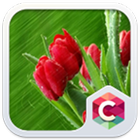 Best Rose Theme HD simgesi