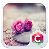 Pink Roses Theme C Launcher icône