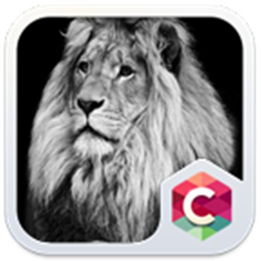 Black & White Lion Theme HD