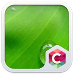 Descargar APK de Green Water Drop Theme