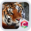 Best Animal Tiger Theme APK