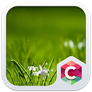 Best Grass Theme C Launcher APK