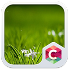 Best Grass Theme C Launcher icon