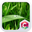 Best Green Leaves C Launcher