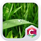 Best Green Leaves C Launcher icône