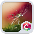 Crystal Drops Launcher Theme