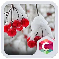 Snowy Cherry C launcher Theme APK 下載