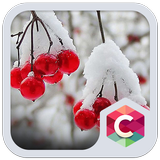 Snowy Cherry C launcher Theme icône