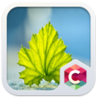 Fresh Leaf Theme icône