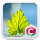 Fresh Leaf Theme icon