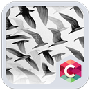 Best Black & White Bird Theme APK