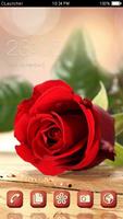 Beautiful Red Rose Theme Affiche
