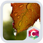 Dew Leaf Drop C Launcher Theme icône