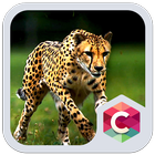 Wild Cheetah  Animal Theme HD icône