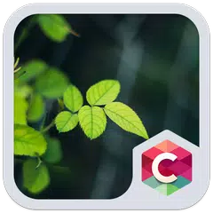 Baixar Green Leaf C Launcher Theme APK