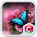 Launcher Theme