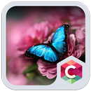 Fleur et papillon THÈME APK