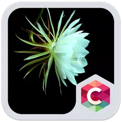 White Flower Theme