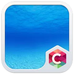 MY SUMMER C LAUNCHER THEME