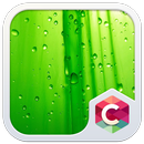 Green Leaf C Launcher Theme APK