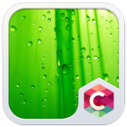 Green Leaf C Launcher Theme icône