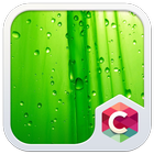 Green Leaf C Launcher Theme icon