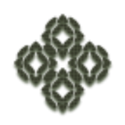 The World Map Theme icon
