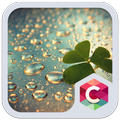 Golden Water Drops Theme HD