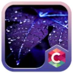 Blue Leaf Water Drop Theme HD APK download