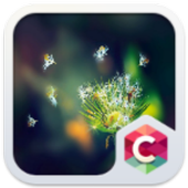 Beautiful Flower Spring Theme icon