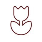 Life Time Simple Cartoon Theme icon