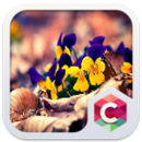 Crystal Flower Clauncher Theme APK