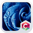 Blue Rose CLauncher Theme icône