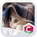 Cozy Kitty CLauncher Theme APK