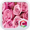 Pink Roses CLauncher Theme