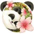 Cute Baby Panda Theme icône
