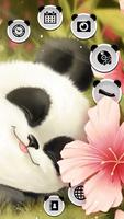 Cute Baby Panda Theme الملصق