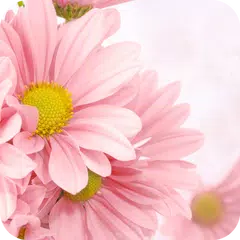 Flowers Launcher Theme: Pink Rose Spring Flower APK 下載