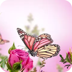 Pink Butterfly Flower Theme APK download