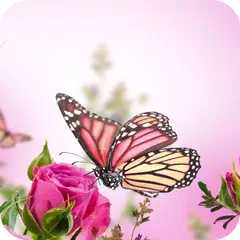 Pink Butterfly Flower Theme アプリダウンロード