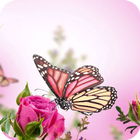 Pink Butterfly Flower Theme icône
