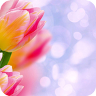 Pink tulip Theme C Launcher أيقونة